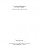 Las Siete Diferencias de la Cultura Empresarial Japonesa y Latinoamericana