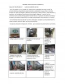 INFORME TECNICO VEHICULAR CODIGO 29