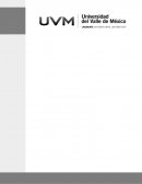 Liderazgo Napoleón Bonaparte