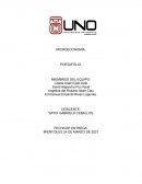 MICROECONOMÍA. PORTAFOLIO