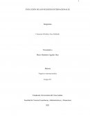 ENSAYO EVOLUCIÓN DE LOS NEGOCIOS INTERNACIONALES