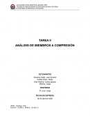 Análisis de miembros a compresión