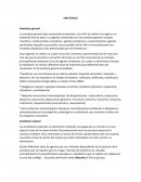 ANESTESICOS Anestesia general