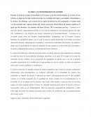 La mujer y su rol fundamental en la sociedad.