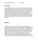 ¿Cuáles son sus zonas de confort, de aprendizaje y de pánico?