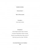 Entrega final microeconomia