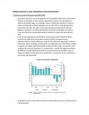 Repercusiones y otros indicadores macroeconómicos