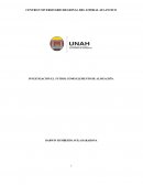 EL FÚTBOL COMO ELEMENTO DE ALINEACIÓN