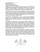 SINTESIS DE PLANIFICACION URBANA