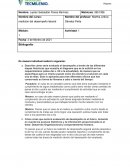 Actividad 1 medición del desempeño laboral