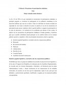 Mecanismos de participación ciudadana