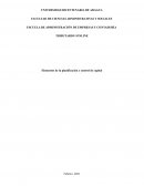 Elementos de la planificación y control de capital