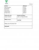 Actividad 1 Analizar las diferencias entre el proteccionismo comercial y el libre comercio