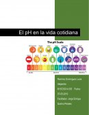 Explicación teórica de lo que son los ácidos, las bases y el pH