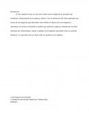 Ensayo investigación de mercados