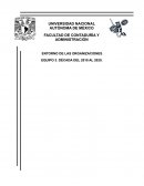 ENTORNO DE LAS ORGANIZACIONES