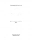 Resumenes libro American History X