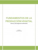 EVOLUCIÓN HISTÓRICA DE LA AGRICULTURA