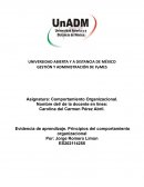 Evidencia de aprendizaje. Principios del comportamiento organizacional