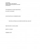 Ensayo sobre políticas públicas de prevención del delito