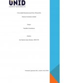 Ensayo Variables Económicas