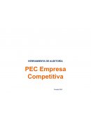 PEC empresa competitiva