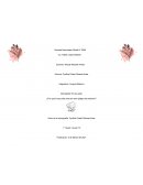 Monografía: Él oso polar