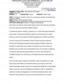 Protestas no violentas; boicots en los autobuses; Campaña de desobediencia Carta de la Libertad