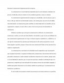 Resumen Comunicación Organizacional de la empresa