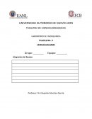 LABORATORIO DE FISICOQUIMICA Practica No. 3 LEYES DE LOS GASES