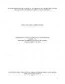 Analisis del amor en los tiempos del cólera