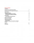 Importancia de la agricultura orgánica