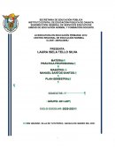 PLAN SEMESTRAL DOCENTE