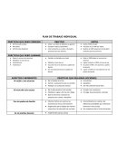 Plan de trabajo individual
