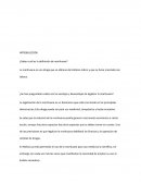 ¿Saben cuál es la definición de marihuana?