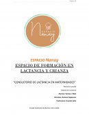 Tesis Consultorios de Lactancia en Maternidades