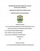 EVALUACIÓN DE SISTEMAS DE PRODUCCIÓN AGRÍCOLA EN DOS PISOS ECOLÓGICOS DE LA PROVINCIA DE LEONCIO PRADO