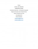 Ensayo competencias docentes NMS