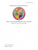 CÓDIGO NACIONAL DE PROCEDIMIENTOS CIVILES Y FAMILIARES