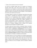 Actividad practica mpresa Coesam