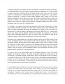 Sociedades Actuales