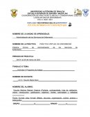 PRÁCTICA VIRTUAL DE ENFERMERIA