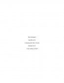 Plantilla de documento COE