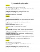 Vocabulario de declinaciones