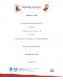 Organización celular