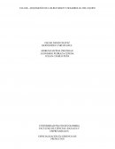 TALLER - ADQUISICIÓN DE LOS RECURSOS Y DESARROLLO DEL EQUIPO