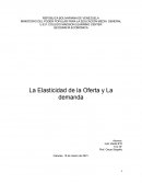 La Elasticidad de la Oferta y La demanda