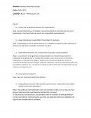 Tarea Derechos Humanos