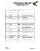 Catalogo movimientos e incidencias