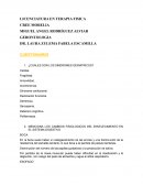 ¿Cuales son los sindromes geriatricos?